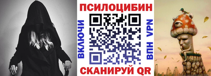 Галлюциногенные грибы Psilocybe  наркошоп  Ясногорск 